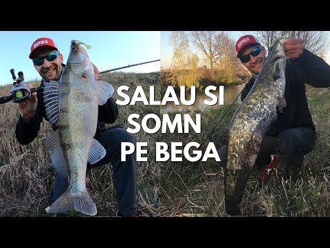 SALAI si SOMNI pe BEGA! 🔥 PESCUIT la JIG pe RAU cu DRILURI pe CINSTE 💥