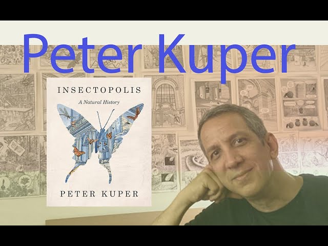 Vídeo relacionado con Insectopolis: Une histoire naturelle