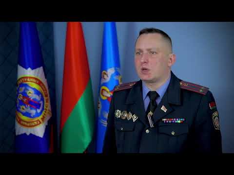 В сети распространяются фейки о том, что права в Беларуси можно получить без экзамена в ГАИ