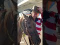 Daniel Ricciardo Riding a Horse in the F1 Paddock ? #Shorts