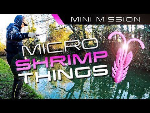 Mini Mission: MICRO SHRIMP THINGS! (Crazy Fish Squid Allure)