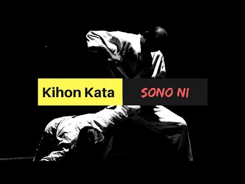 Kihon Kata Sono Ni