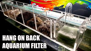 Hang On Back Filter Setup In Aquarium | HOB Aquarium Filter