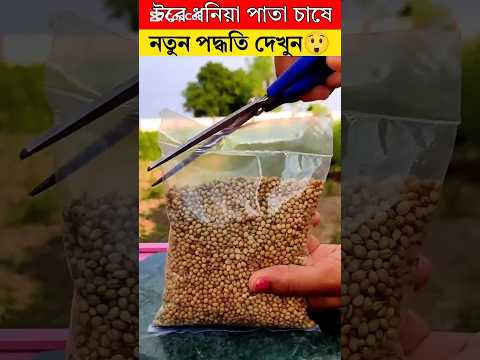 ধনিয়া/ধনে বীজ বপনের সঠিক পদ্ধতি#coriander_cultivation#donia_chas#coriander_farming#shortvideo#shorts