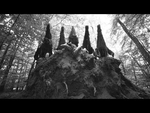 Daj Ognia — Siwy koń