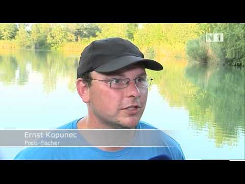 Teichfest mit Preisfischen in Traiskirchen