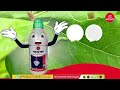 Krishi Rasayan Talextra For Cotton Vegetables
