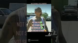 what language is this 🤣 cholo news #parati #fyp