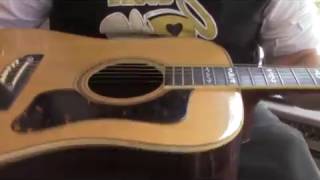 Video thumbnail for Alvarez 1976 5039 Bicentennial Acoustic Guitar Demo by Progressive Guitar Studio