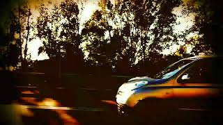 Field Mice - If you need someone