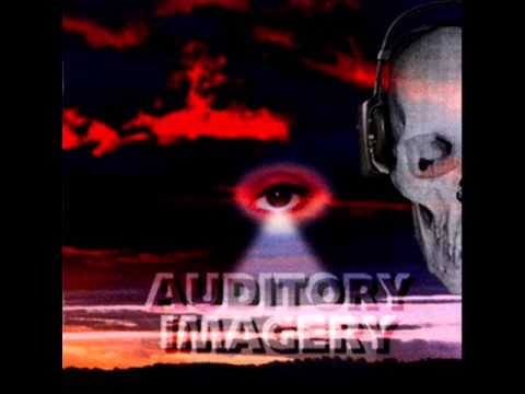 AUDITORY IMAGERY --In Through The Abattoir