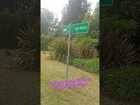 Laguna del Sauce Maldonado