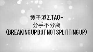 黄子滔 Z.TAO - 分手不分离 (Easy Pinyin Lyrics)