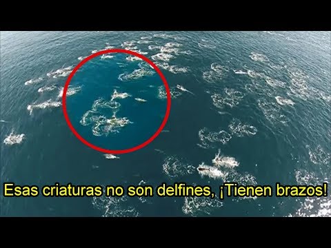 Sirenas REALES Grabadas Mientras Nadaban con Delfines