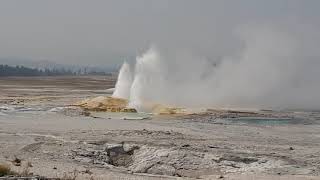 The 13 Best Documentaries About Yellowstone