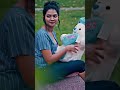 Indori Ishq Best Seen