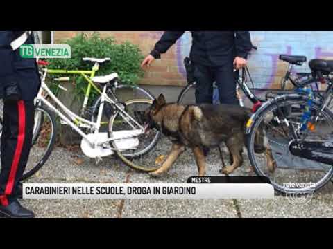 TG VENEZIA (10/11/2017) - CARABINIERI NELLE SCUOLE, DROGA IN GIARDINO