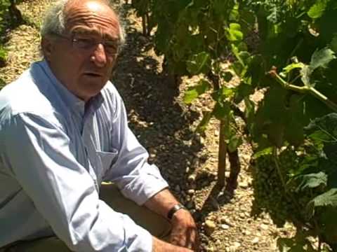 Chateau Lafite’s Charles Chevallier in the vineyard