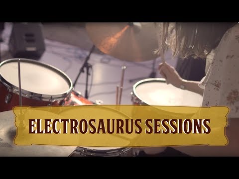 DeWolff - Electrosaurus Session #2 - Jam #3 (Live at DeWolffest)