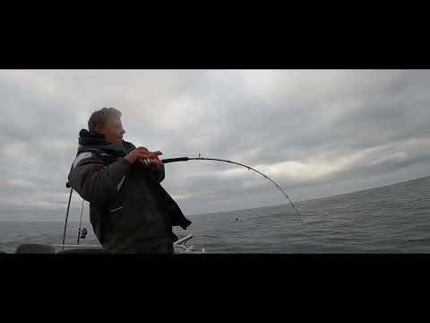 22kg halibut Titran Rorbuer june 2025