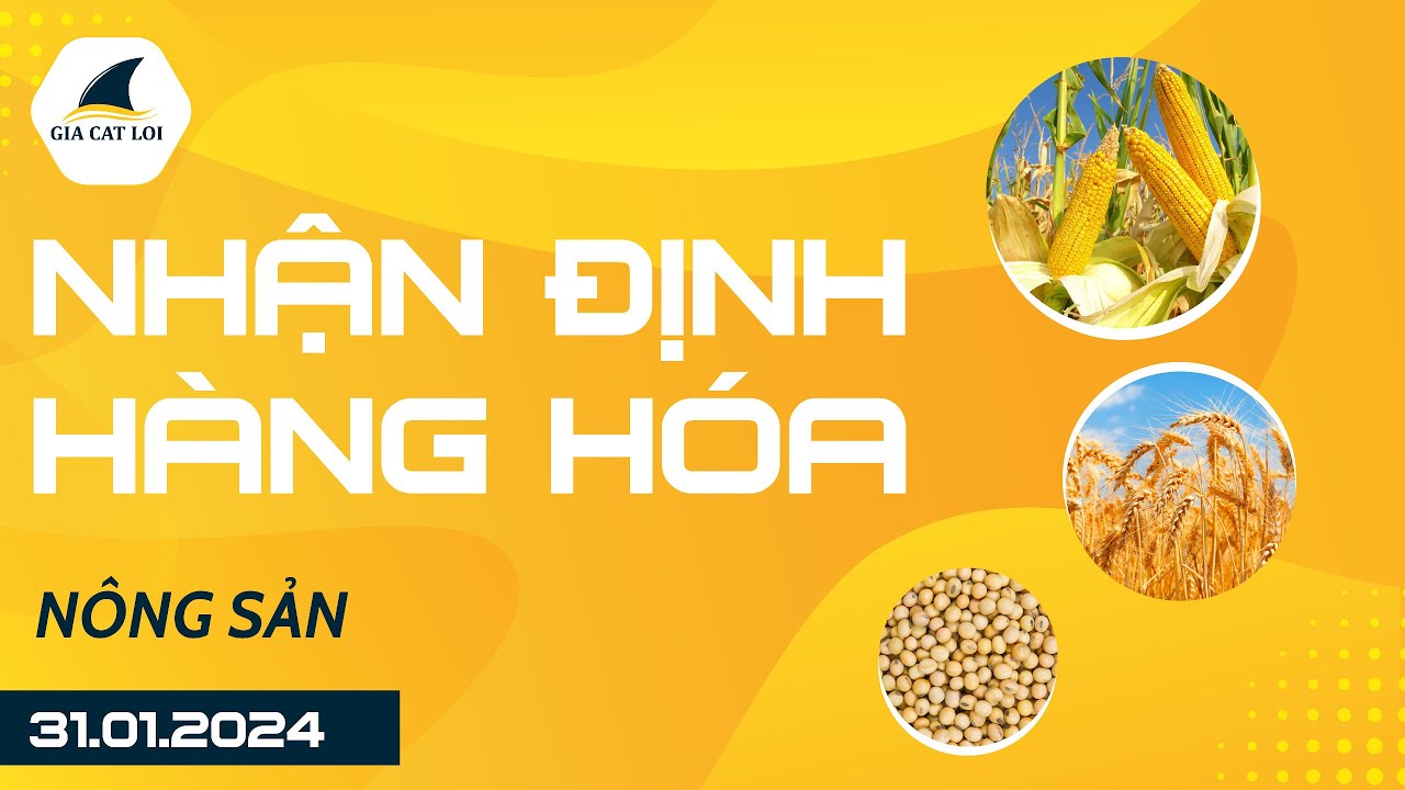Nhận Định Hàng Hoá Nông Sản Ngày 31/01/2024