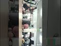 STw SeMokkkkk Kegel Kebayang Lah Berapa Ronde