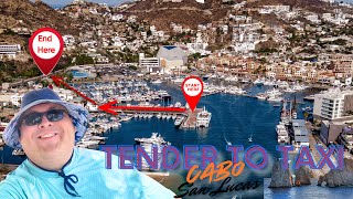 Cabo San Lucas Port Guide: Tendering to Taxi Walkthrough #cruise 