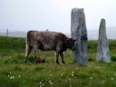 Outer Hebrides 4