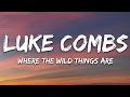 Luke Combs - Where the Wild Things Are (Lyrics)