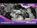 Iru Mangani Pol HD Song Vairam