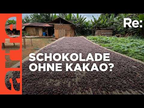 Video Thumbnail: Schokolade, fair und nachhaltig | ARTE Re:
