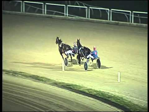 Trotto 26/01/2016 - prova di riqualifica