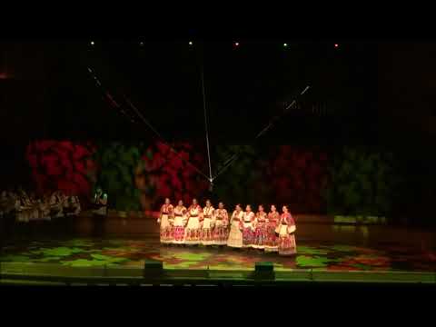 "Ide jesen"- FA HKUD-a Željezničar Zagreb (pjesme i plesovi Posavine)