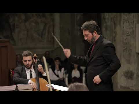 F. J. Haydn - Insanae Et Vanae Curae - Hob. XXI:1/13c