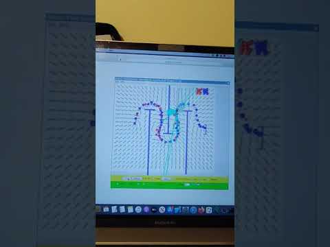 Electric Field Hockey GOAT