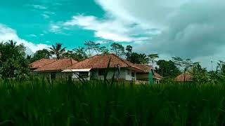 Download lagu KECAPI SULING SUNDA 'LAMUNAN Yayan Jatnika' mp3