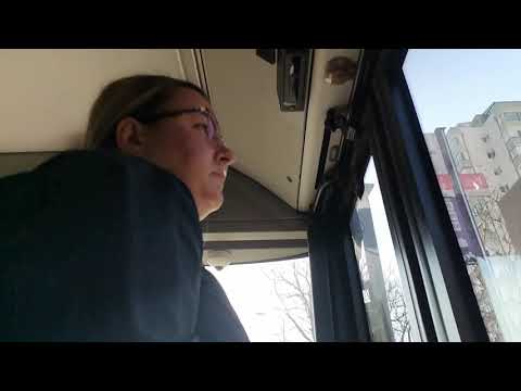 linija 611:Zemun kej Oslobođenja/Dobanovci (groblje)