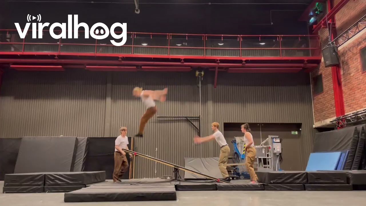 Stomach Stunt On Seesaw By Circus Acrobats || ViralHog