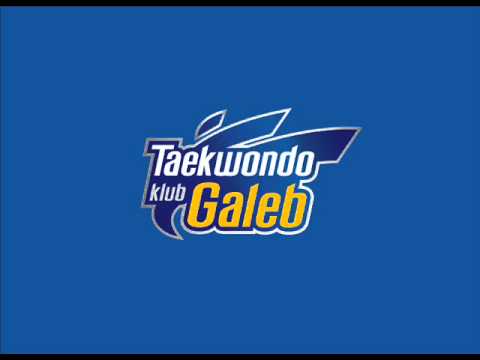 Shef Sale - Izdrzi do pobede