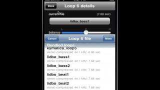 Proloop iPhone Looping App Demo