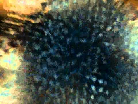 Peter Lazonby - Wavespeech (Orginal Mix)