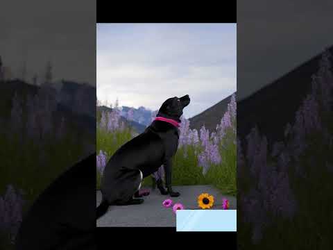 dog ai animation 3d shorts video#instagram reels#youtubeshort#shots#viral#animals#trending#doglover
