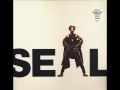 Seal - Wild (premix version) Vinyl rip