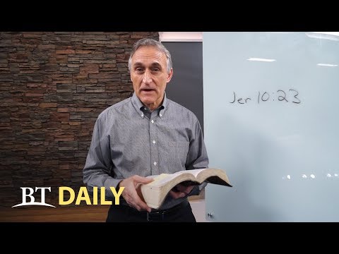 BT Daily: Lessons from a Fly - Part 1