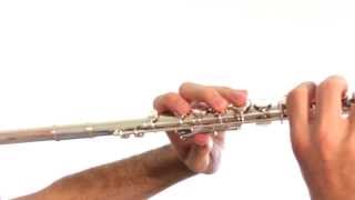 Flute Lesson 7: Relating to the Musical Alphabet