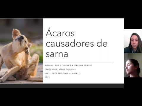 , title : 'Ácaros causadores de sarna - Sarcoptes scabiei'