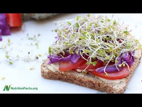 Fever Benefits for Autism in a Food