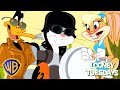 Looney Tunes Po Polsku Wściekli Rebelianci WBKidsInternational