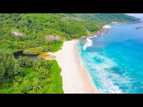 Seychelles - 4K - Oceans - Cold ain't for me