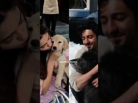 Both Couples are dog lovers 🥰😍😘#aneetpadda #ahaanpanday #love #saiyaarasong #couplestatus #shorts